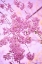 Picture of BRIGHT BLOOMS IV