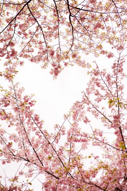 Picture of HEART IN THE TREES I