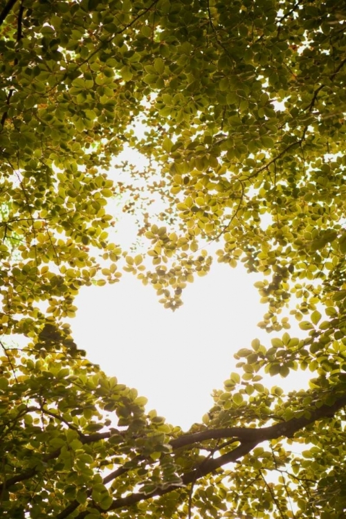 Picture of HEART IN THE TREES II