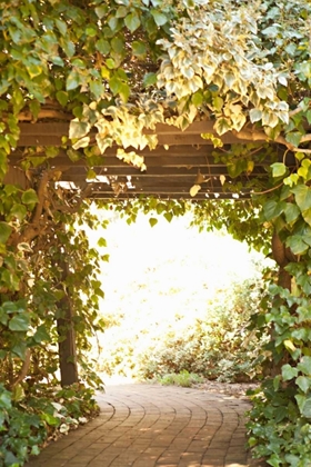 Picture of SECRET GARDEN II