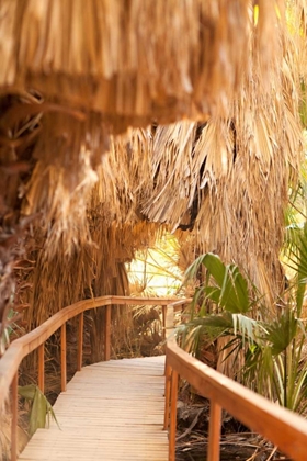 Picture of PALM PATHWAY I