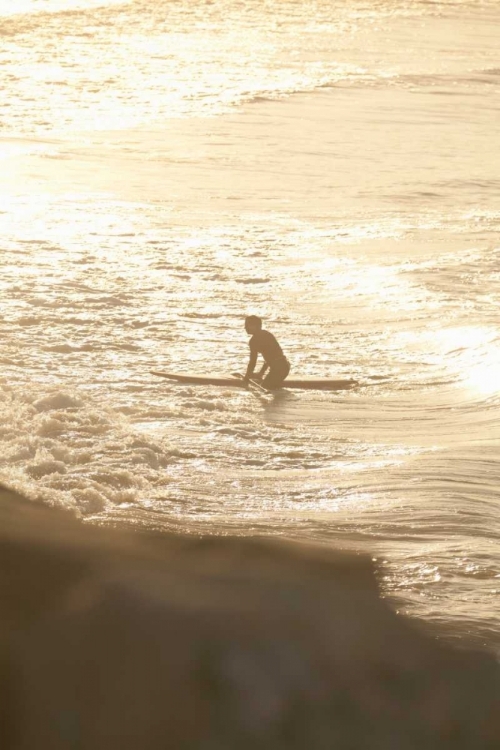 Picture of SUMMER SURFING I