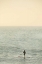 Picture of SUMMER SURFING II