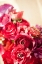 Picture of PEONY BOUQUET I
