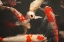 Picture of KOI II
