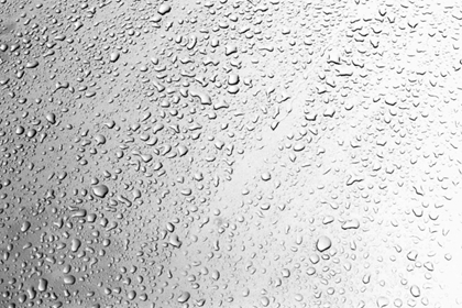 Picture of RAIN DROPS II