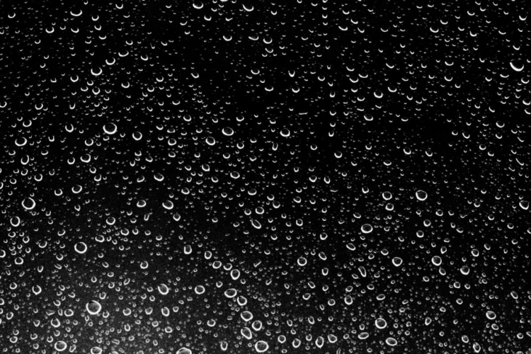 Picture of RAIN DROPS III