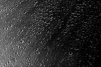 Picture of RAIN DROPS IV