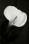 Picture of CALLA LILY PERFECTION II