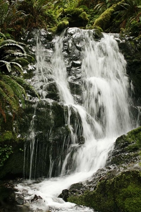 Picture of WATERFALL I