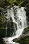 Picture of WATERFALL I