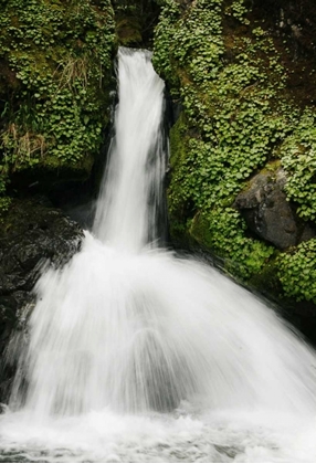 Picture of WATERFALL II