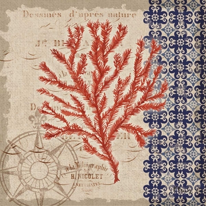 Picture of BURLAP CORAL II