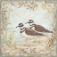 Picture of SHORE BIRDS II