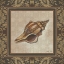 Picture of SHELL ELEGANCE I