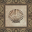 Picture of SHELL ELEGANCE II