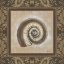 Picture of SHELL ELEGANCE III