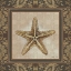 Picture of SHELL ELEGANCE IV