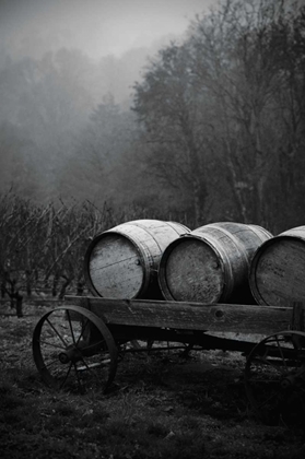 Picture of BW OREGON WINE COUNTRY II