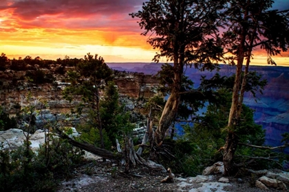 Picture of MATHER POINT SUNSET II