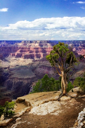 Picture of THE CANYON RIM I