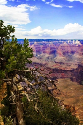 Picture of THE CANYON RIM II
