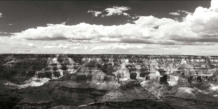 Picture of THE CANYON WALL II