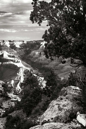 Picture of CANYON GORGE I