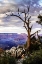 Picture of EVENING ON THE RIM I