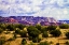 Picture of THE HIGH DESERT I