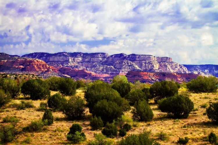 Picture of THE HIGH DESERT I