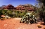 Picture of HIGH DESERT I