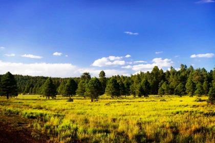 Picture of BIG SKY RANCH II