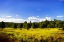 Picture of BIG SKY RANCH II