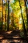 Picture of AUTUMN LIGHT I
