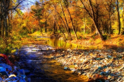 Picture of AUTUMN WATERS I