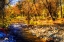 Picture of AUTUMN WATERS I