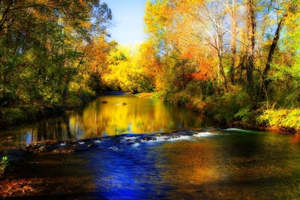 Picture of AUTUMN WATERS II