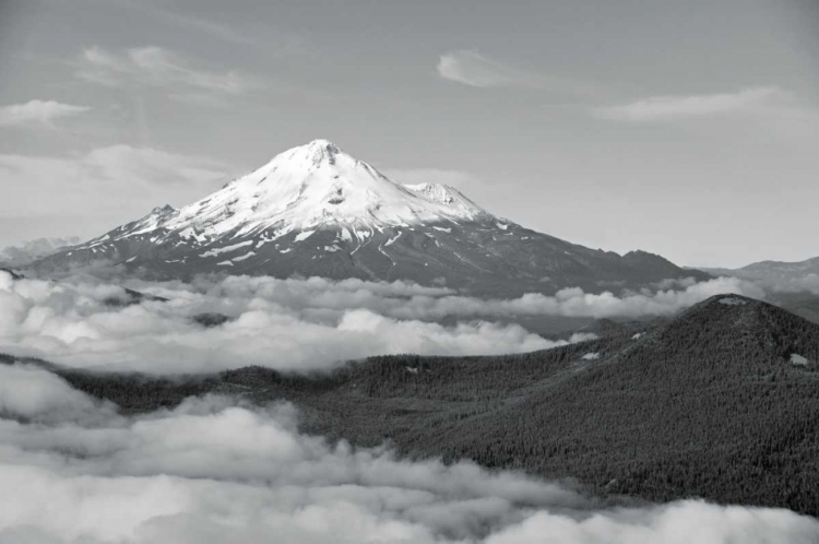 Picture of BW MT. SHASTA