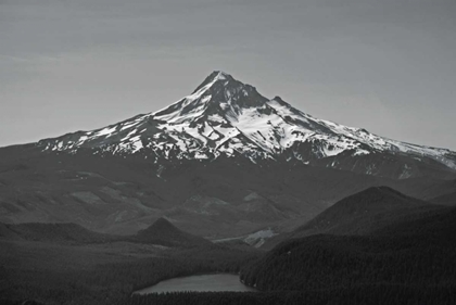Picture of BW MT. HOOD
