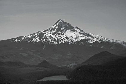 Picture of BW MT. HOOD