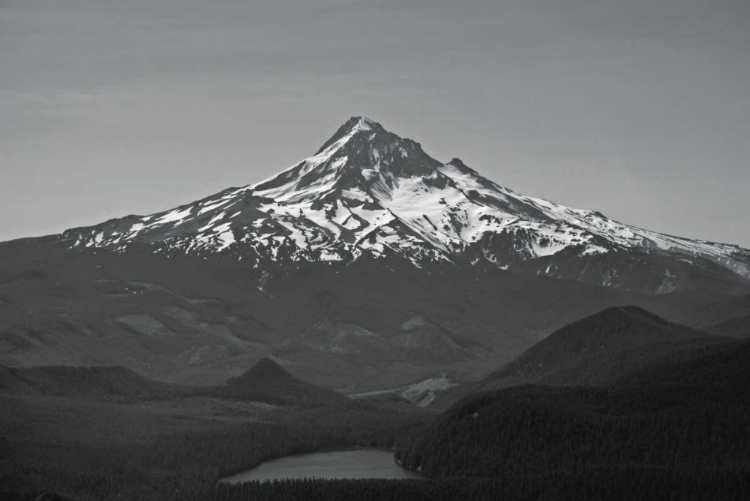 Picture of BW MT. HOOD