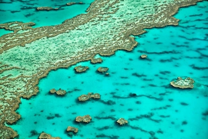 Picture of GREAT BARRIER REEF I