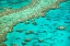 Picture of GREAT BARRIER REEF I