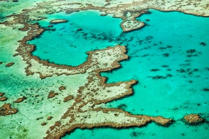 Picture of GREAT BARRIER REEF III