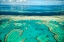 Picture of CORAL RIVER II