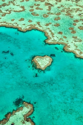 Picture of HEART REEF I