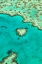 Picture of HEART REEF I