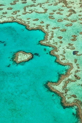 Picture of HEART REEF II