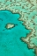 Picture of HEART REEF II